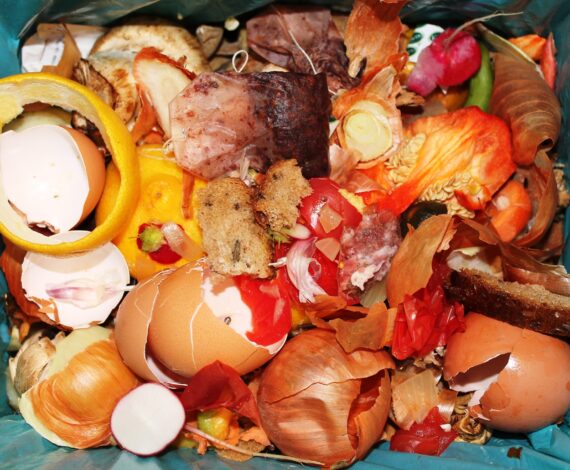Food Waste Collection Liverpool