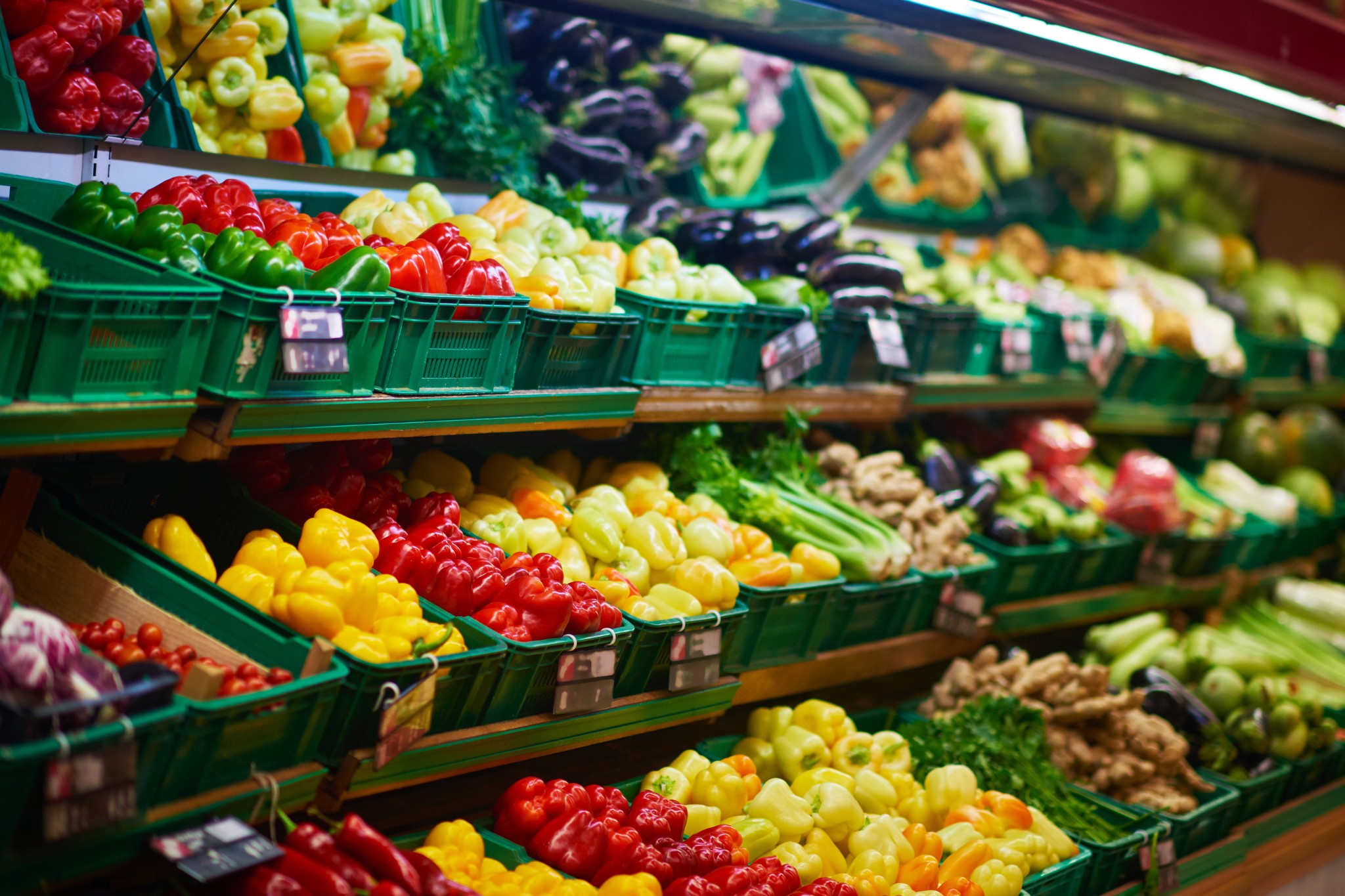 waste management for retail