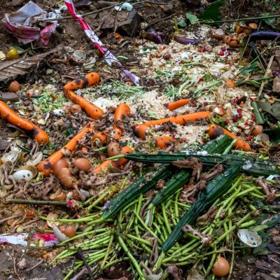 food waste recycling