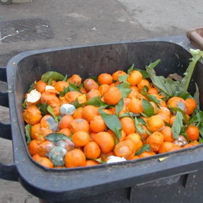 food waste removal