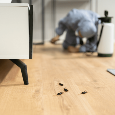 liverpool-pest-control-business