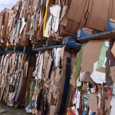 paper cardboard collection